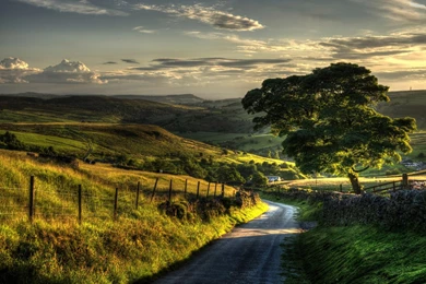 Village Road With Nice Landscape
