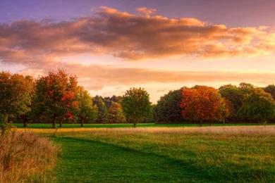 41 Top 100 nice nature desktop wallpaper and background 41 ...