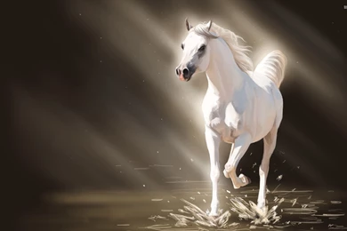 Horse Wallpapers   Animal Wallpapers