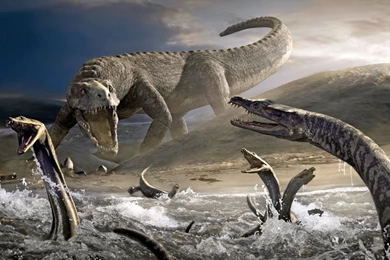 Dinosaur Wallpapers 18   Best Wallpapers Collection