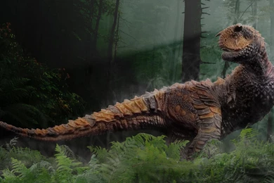 Full HD 1080p Dinosaur Wallpapers HD, Desktop Backgrounds ...