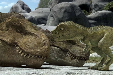 Tarbosaurus 3D' Movie Review & Ratings   HD Wallpapers & Official ...