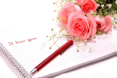 Wallpapers New Love   HD Wallpapers Lovely