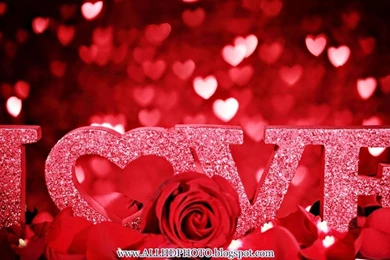 New Love Wallpapers   Wallpapers Cave