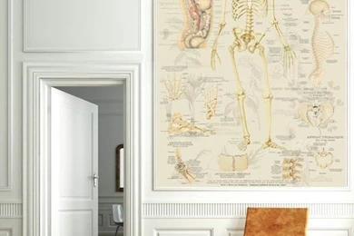 Botany And Biology Wallpapers