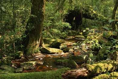 YouWall   Wildlife Sanctuary Wallpapers   Wallpaper,wallpapers,free ...