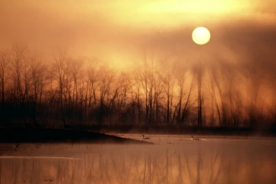 1024x768 Wildlife Refuge Desktop PC And Mac Wallpapers