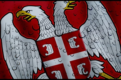 Serbian Eagle By Stoykeez On DeviantArt