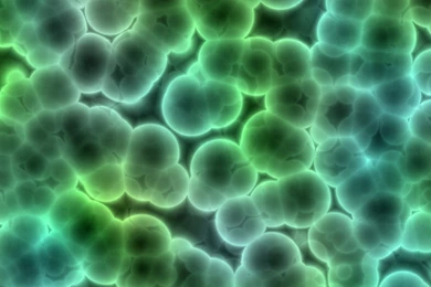 Gallery For   Cells Wallpapers