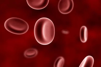 Cell Blood Cells Biconcave Plasma Vessel HD Wallpapers Wallpapers ...