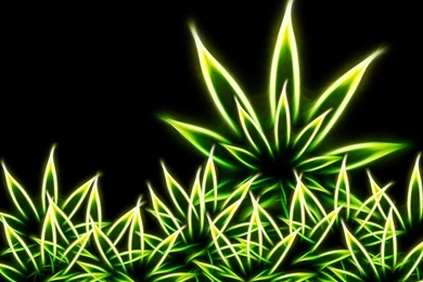 Pic New Posts: Weed Wallpapers Free
