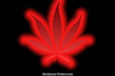 Pic New Posts: Weed Wallpapers Free