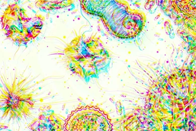 Pic > Cell Biology Wallpapers