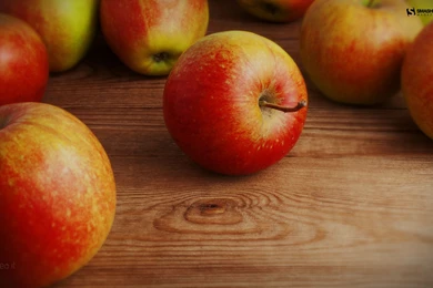 October Apples Wallpapers