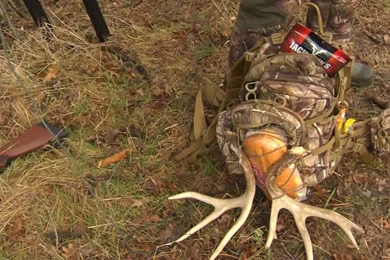 Buck Commander Packs.mov   YouTube