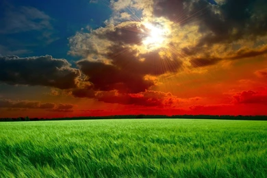 Wallpapers Green Field And Red Sky 1920 X 1080 Full Hd   1920 X ...