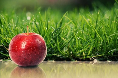 Apple Wallpaper Fruit Image Grass Picture.jpg