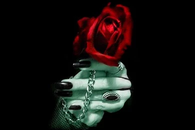 Gothic Wallpapers   Crazy Frankenstein