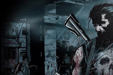 Punisher Wallpapers For Computer 9065   HD Wallpapers Site