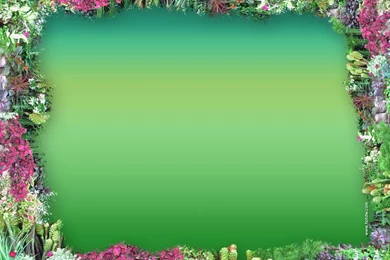 Free Brown Frame Backgrounds For PowerPoint   Border And Frame PPT ...