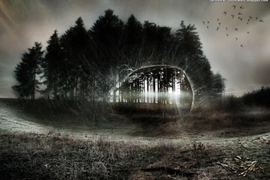 Gothic Wallpapers For Home 12 Desktop Backgrounds   Hdblackwallpaper.com