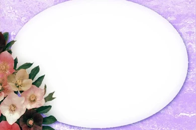 Free Border And Frame PowerPoint Backgrounds/Wallpapers Download ...