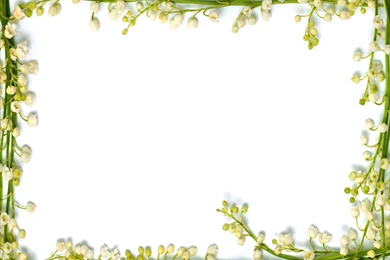 Free Real Floral Frame Backgrounds For PowerPoint   Flower PPT ...