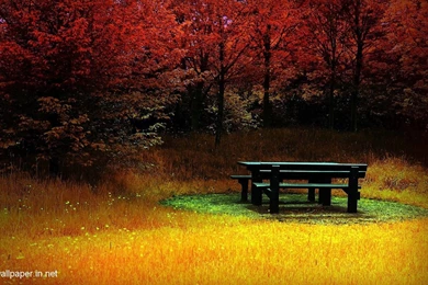 HD Nature Wallpapers For Mobile