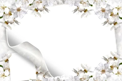 Free Wedding Backgrounds /frames