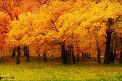 Nature Wallpapers Archives   Page 2 Of 11   Free Desktop ...