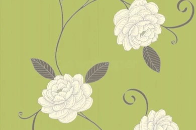 Lime Green And White Wallpapers   HD Wallpapers Lovely