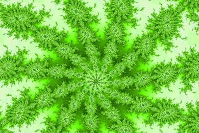 Green Backgrounds Wallpapers And Textures