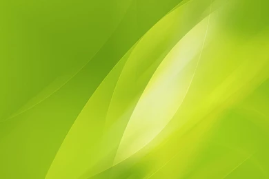 Green Wallpapers Designs   All Wallpapers New