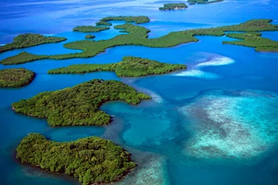 Wallpapers Creator Online   Wallpapers 2015 Trends