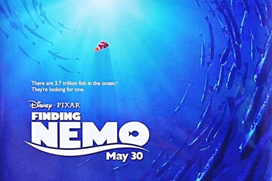 Finding Nemo Poster   Wallpaper.