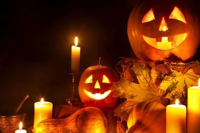 Thanksgiving Live Wallpapers