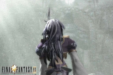 Final Fantasy IX Characters   Final Fantasy Wallpapers (77953)   Fanpop