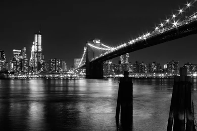 Twitter Wallpapers Logo