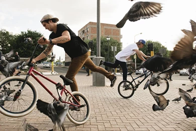 BMX Freestyle On City Wallpapers Laptop