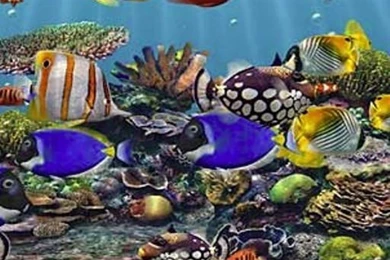 Desktop Live Hd Wallpapers Free Download 3d Desktop 3d Live ...