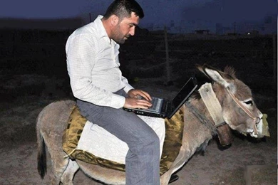 Funny hd wallpapers free download.jpg