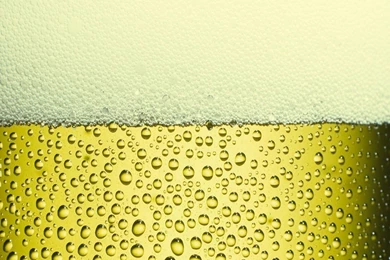 Budweiser Wallpapers   Wallpapers Cave