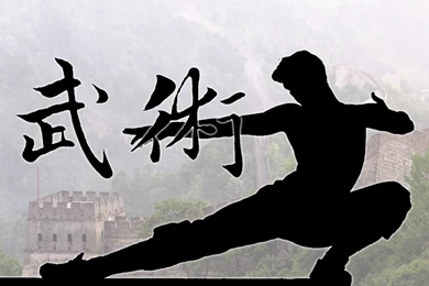 Kung Fu Wallpapers   Wallpapers Cave