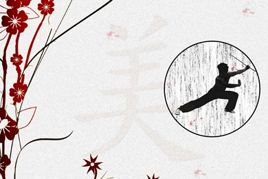 Kung Fu Wallpapers   Wallpapers Cave