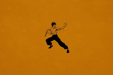 Bruce Lee Kung Fu Wallpapers   1680x1050   382799