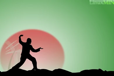 Kung Fu Backgrounds Wallpapers   129290