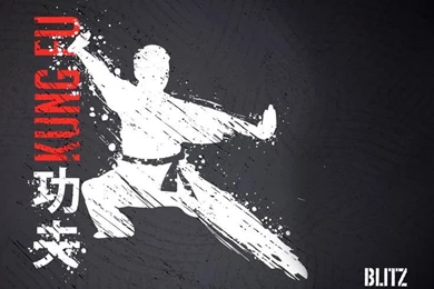 Blitz Kung Fu Wallpapers (1920 X 1440)