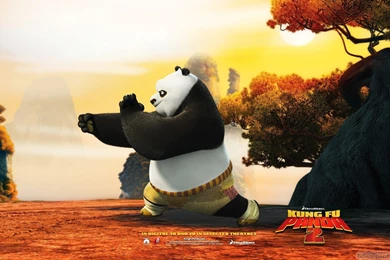 Po In Kung Fu Panda 2 Wallpapers