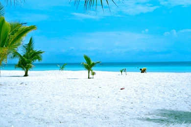 Philippines Sugar Islands Best Wallpapers Picture