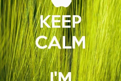 iPhone Wallpapers HD   Stunning Wallpapers For The iPhone 5 And ...